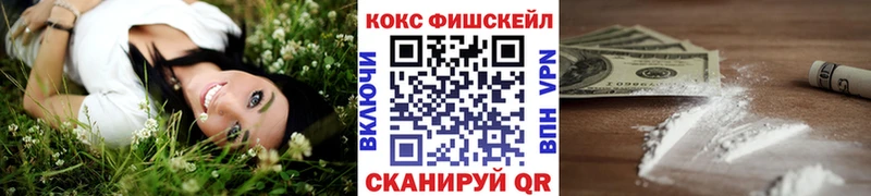 КОКАИН FishScale  Купить закладки  Каменногорск 
