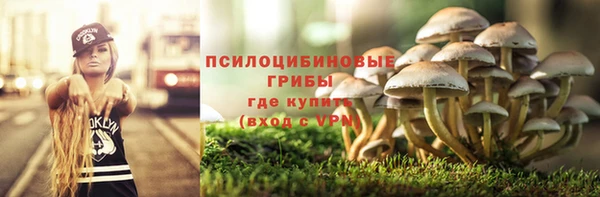 индика Навашино
