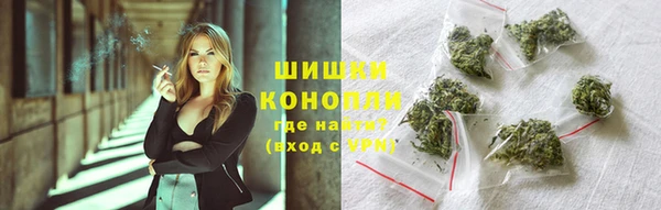 индика Навашино