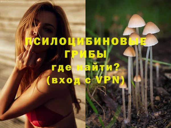 герыч Нея