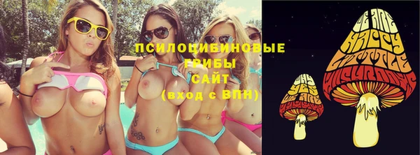 индика Навашино