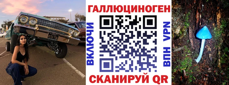 Галлюциногенные грибы Psilocybine cubensis  Купить где  Каменногорск 