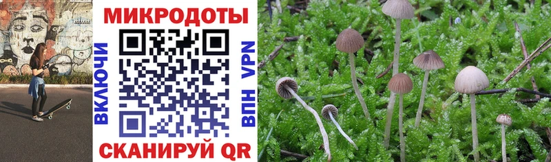 Галлюциногенные грибы мухоморы Каменногорск
